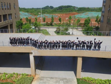 资深实战团队，拒绝新手练手